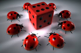 Spinamba Casino